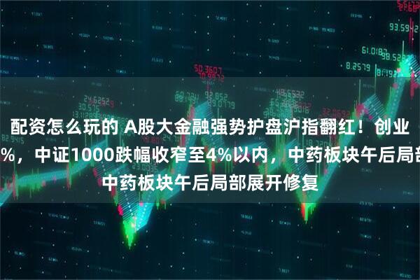 配资怎么玩的 A股大金融强势护盘沪指翻红！创业板指涨超3%，中证1000跌幅收窄至4%以内，中药板块午后局部展开修复