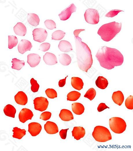 证券配资 年报披露季退市新规显威，20家公司因财务不达标面临风险警示