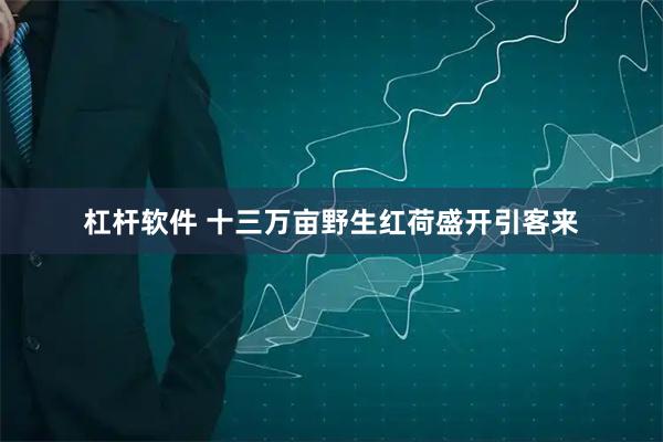 杠杆软件 十三万亩野生红荷盛开引客来